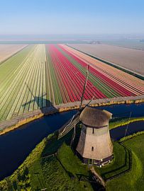 A windmill seen from the air above tulip fields by Thijs Friederich
