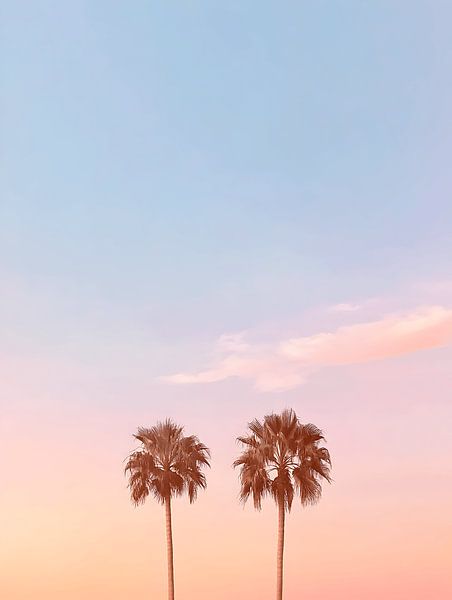 Les palmiers par Gypsy Galleria