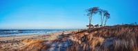 Prerow West Beach