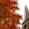 Tour Eiffel en automne, Paris sur Nynke Altenburg