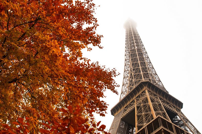 Eiffelturm im Herbst, Paris von Nynke Altenburg