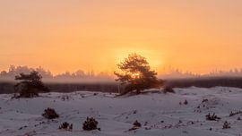 zonsopkomst aekingerzand