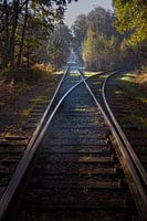 Old military railway in Brasschaat