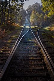 Old military railway in Brasschaat by Inez VAN DE WEYER