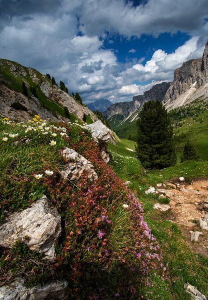 au col de Giau dans les Dolomites par Alex Neumayer