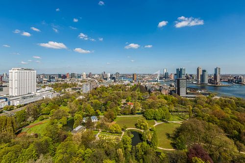 The city skyline of Rotterdam by MS Fotografie | Marc van der Stelt
