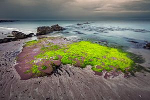 Gelassene Küstenlandschaft in Schottland