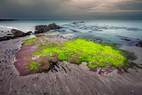 Sereen kustlandschap in Schotland