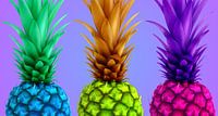 Ananas, coloré par Marion Tenbergen Aperçu