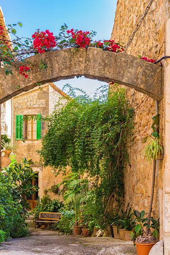 Mooie patio in mediterraan dorp op Mallorca
