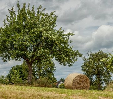 Balles de foin dans le sud du Limbourg sur John Kreukniet