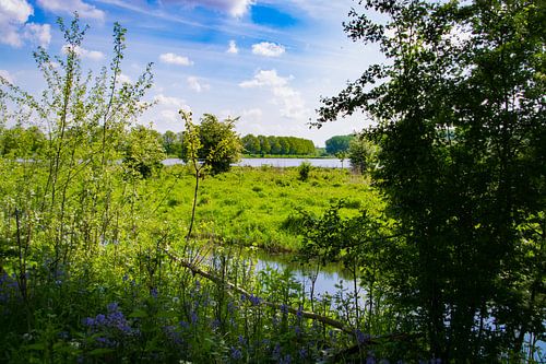 Uitzicht op een ven in de Broekpolder bij Vlaardingen