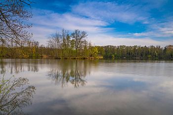 Teich im Biosphärenreservat Oberlausitzer Heide- und Teichlandschaft