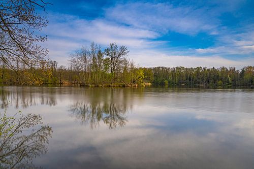 Vijver in het biosfeerreservaat van het Boven-Lusitzer heide- en vijverlandschap