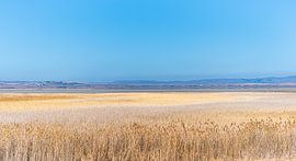 The salt lakes of Turkey Acıgöl by Roland's Foto's
