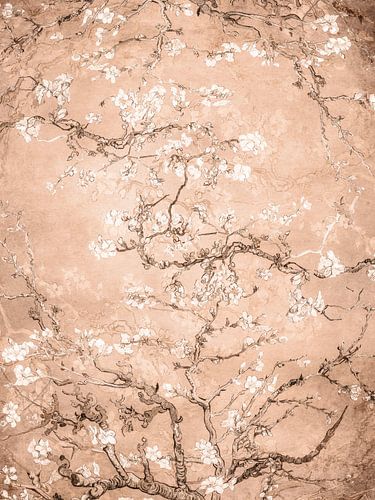 Almond Blossom - Peach Fuzz