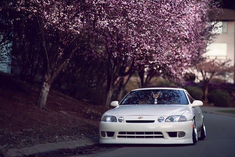 Lexus RX van Art Indi