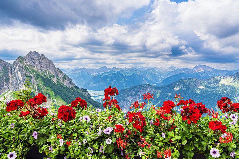 Blick vom Breitenberg bei Pfronten in die Alpen von Rico Ködder