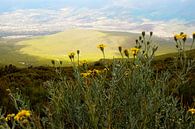 bale mountains van rene schuiling thumbnail