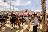Festa de Abril