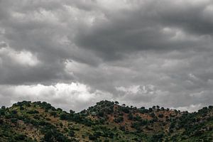 Sierra de Grazalema