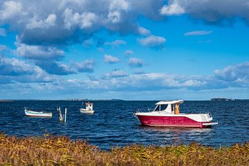 Boats and reeds on the Baltic Sea in Denmark van Rico Ködder