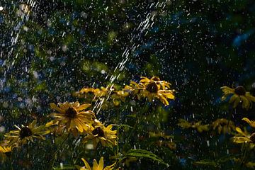 Flower with water sprinkler by Winne Köhn