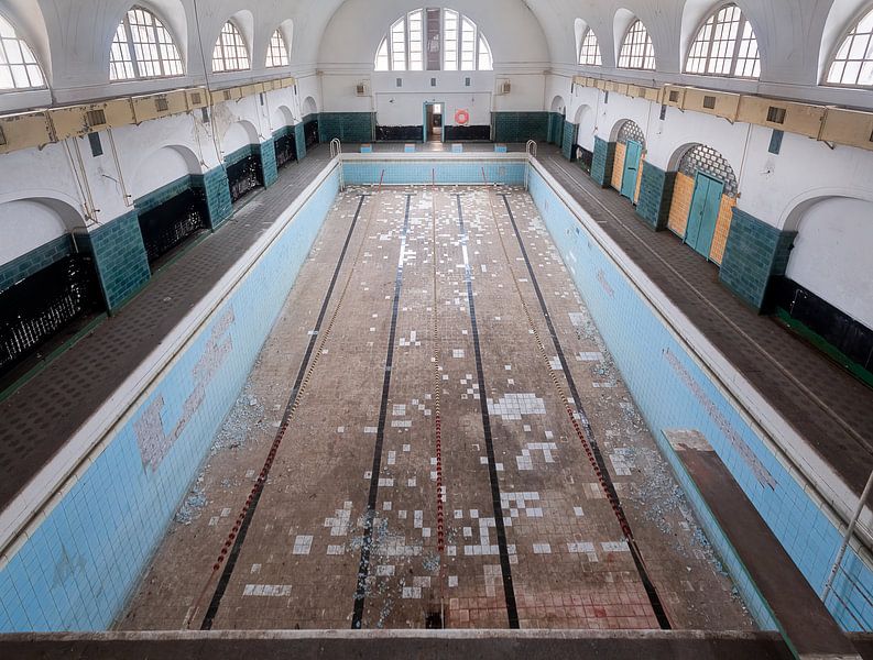 Great Abandoned Pool. von Roman Robroek