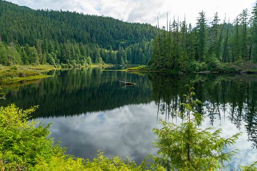 Kennedy River mit Wald und Reflektionen