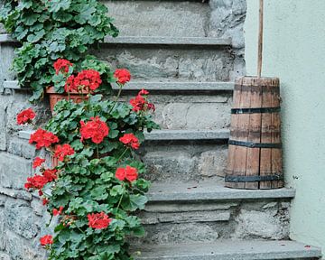 Aosta, altes Bauernhaus von Eugenio Eijck