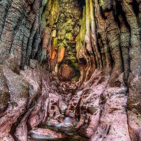 Eingang, Höhle des Goldes von Hans den Boer