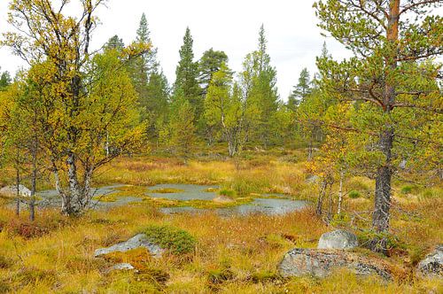 Roe Nationaal Park