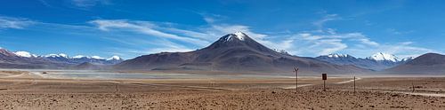 De Altiplano in Bolivia