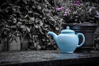 van de regen in de drup