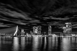 SKYLINE ROTTERDAM 2 by Ria de Heij