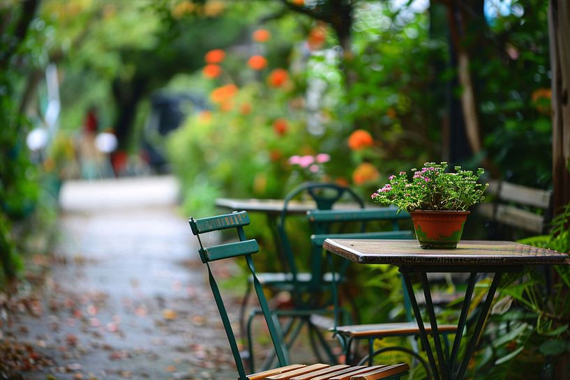 Moderne kamerplant op houten tafel van Art & Soul Creations