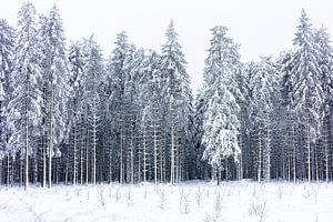 le monde de l'hiver