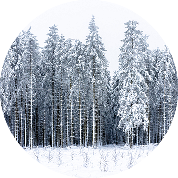 world of winter van Richard Driessen