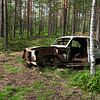 La voiture s'adapte à la forêt à Ryd sur Helene Ketzer