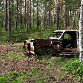 Car adapts to forest in Ryd by Helene Ketzer