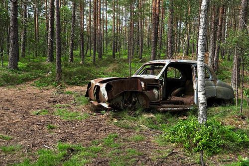 Oldtimer past zich aan het bos aan in Ryd
