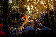 Zilvermeercross Mathieu van der Poel van Herbert Huizer thumbnail