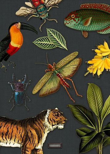 Tropische schoolplaat met vogels, vissen en jungle dieren.