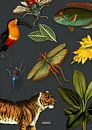 Tropische schoolplaat met vogels, vissen en jungle dieren. von Studio POPPY Miniaturansicht