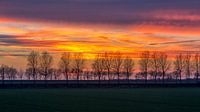 Na zonsondergang kleuren von Bram van Broekhoven Miniaturansicht