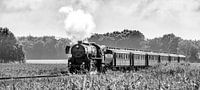 Train à vapeur dans les champs de maïs # 4 par Sjoerd van der Wal Photographie Aperçu