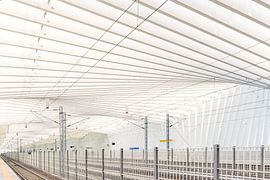 Modernes architektonisches Meisterwerk - Bahnhof Reggio Emilia-Calatrava