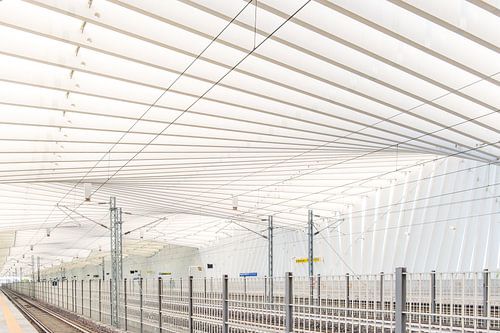 Chef-d'œuvre d'architecture moderne - Reggio EmiliaGare de Calatrava