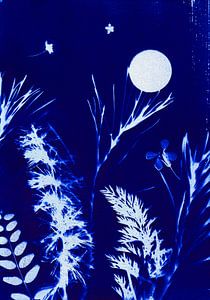 Paysage de la lune bleue
