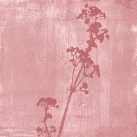 Botanical illustration in retro style in dark pink